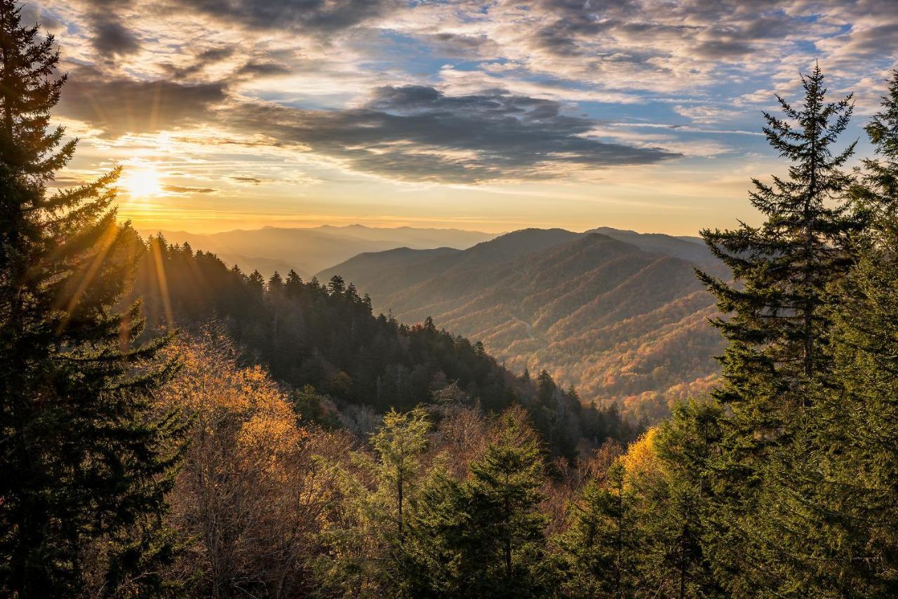 Lazy Cub Lodge Pigeon Forge Bagian luar foto