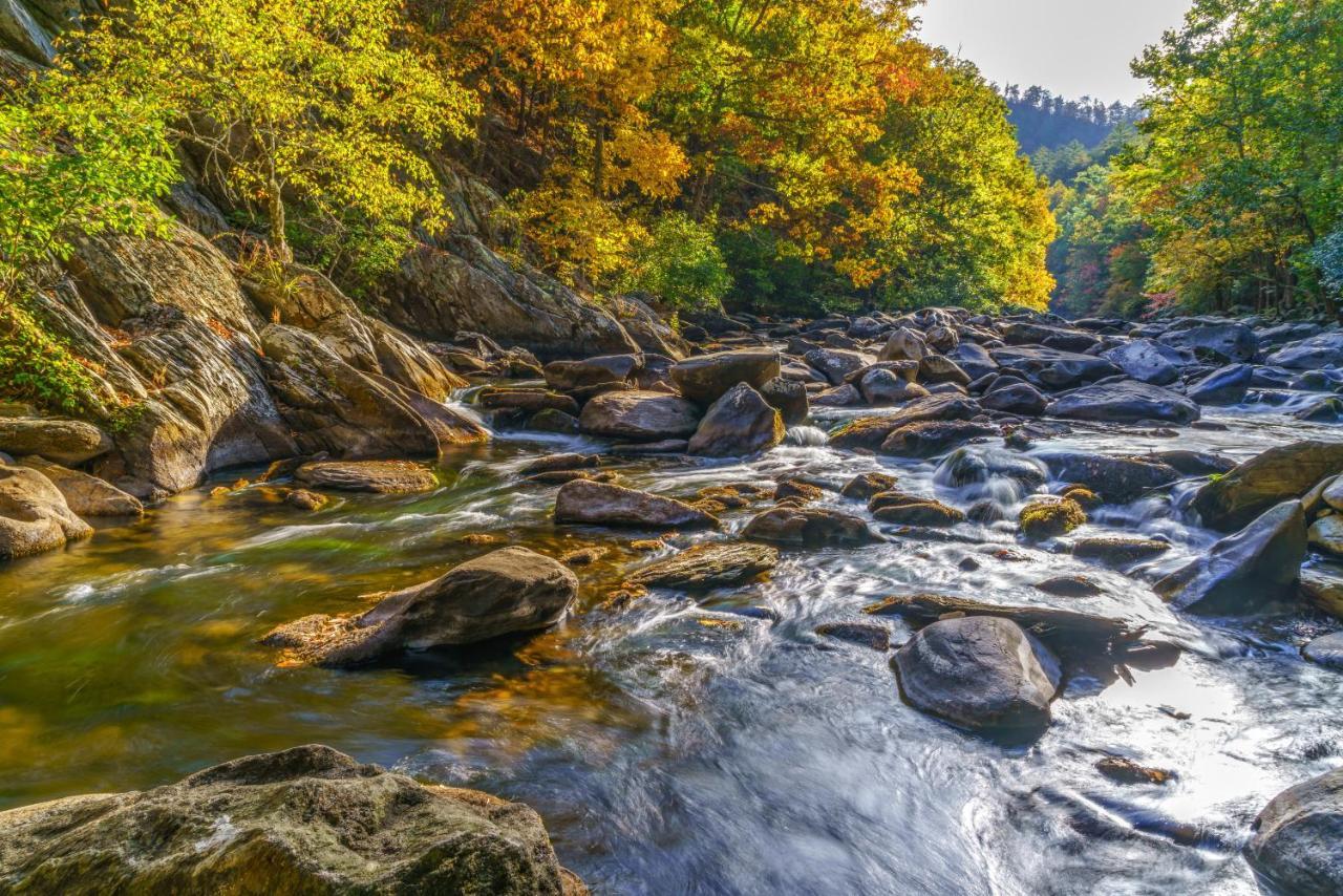 Lazy Cub Lodge Pigeon Forge Bagian luar foto