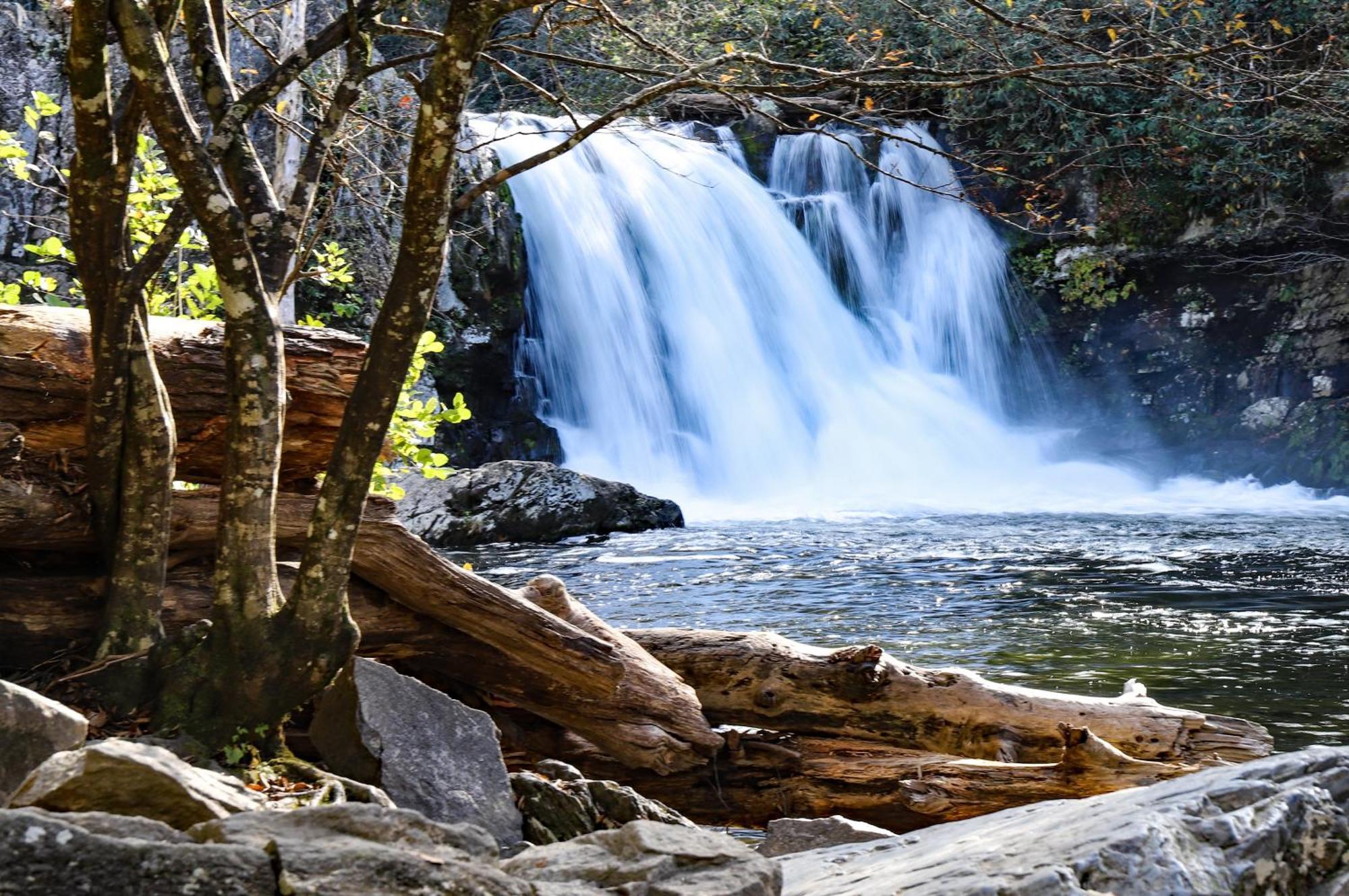 Lazy Cub Lodge Pigeon Forge Bagian luar foto